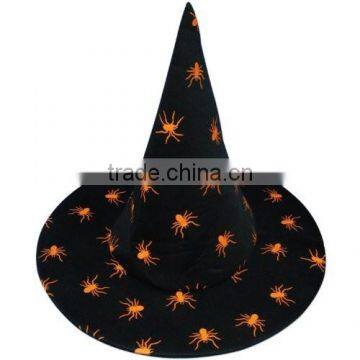 Spider witch hat