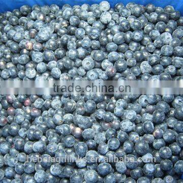 IQF style high qulity fresh blueberry