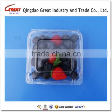 Regular Plastic Small Square Fruit Bluebrries Container