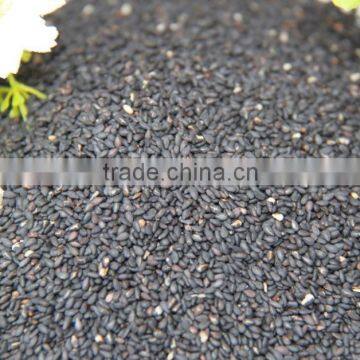 Seseam seeds,China seseam seeds.seseam seeds from Africa