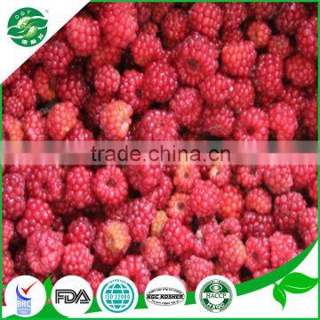 2016 new crop iqf fruits and iqf frozen bulk raspberry