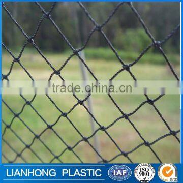 6mx100m Plastic anti bird mesh, Mesh Knitted Anti Bird Net, HDPE Fruit Tree Bird Netting