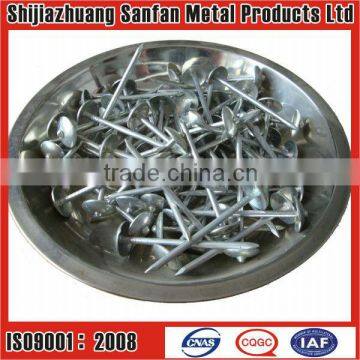 Manufacturer Galvanized Umbrella head roofing nails