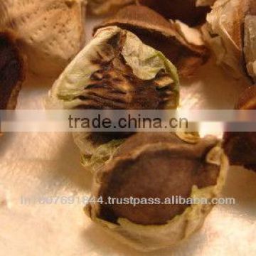 Moringa Seeds PKM1