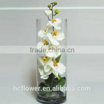 beauty glass pot flower orchid for valentine's gift