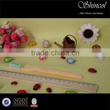 supply good quality and price toothbrush with toothpaste inside