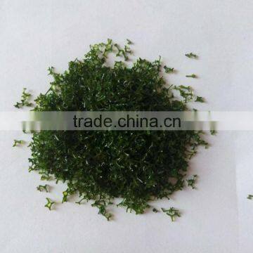 Building Model Material Highlight Tree Powder a