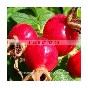 100% Rosehip Oil