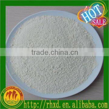 Garlic Extract Allicin Powder/Garlic Extract Powder/Aged Garlic Extract