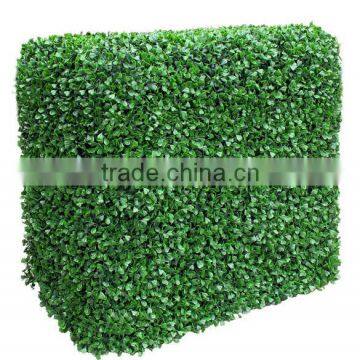 Widely used artificial boxwood hedge