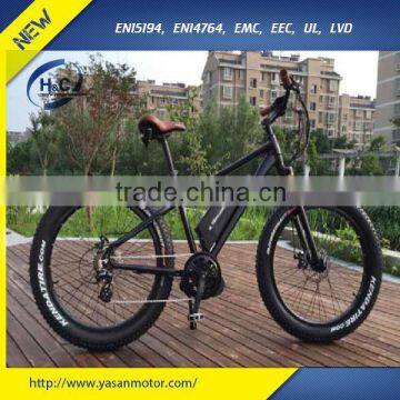 2016 500W/750W Mid Drive Electric Assisted Bicycle for men, suit for Mountain/Snow/ Beach