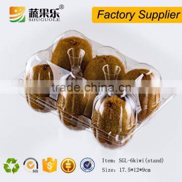 Disposable Plastic fruit box for 6pcs Kiwi with transparent lid