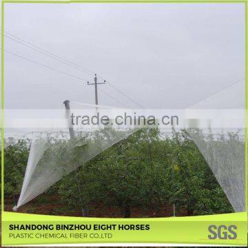 China Hot-Selling Premium Quality Apple Tree Anti-Hail White Net photo-5