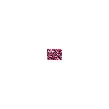 Purple Speckled Kidney Bean photo-3