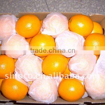 Jiangxi Navel Orange in China