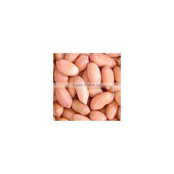 Raw peanuts shell for sale from factory directly