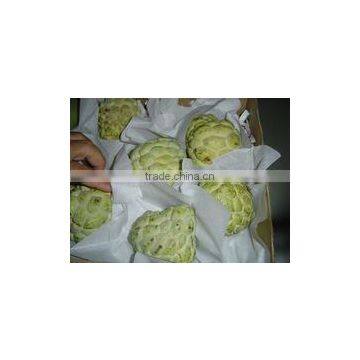 Egypt Fresh Custard Apple