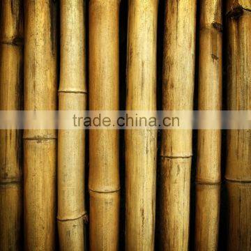 Variosu Size Bamboo Poles photo-5