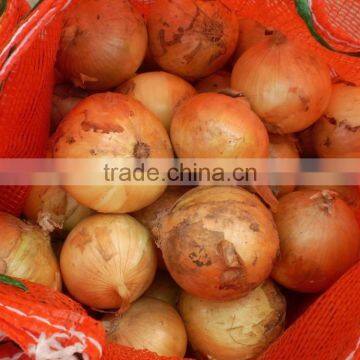 Fresh Yellow Onion with Export Standard