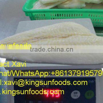 Wholesale ARROWTOOTH FLOUNDER/ATF Fish FILLET