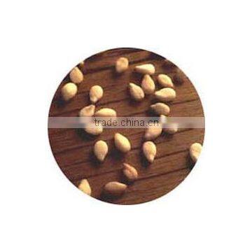 SESAME SEEDS-HULLED AUTODRY SORTEX -SEMI PREMIUM