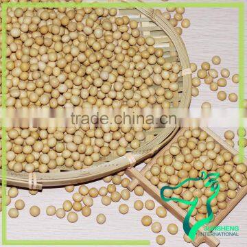 Organic Soybeans