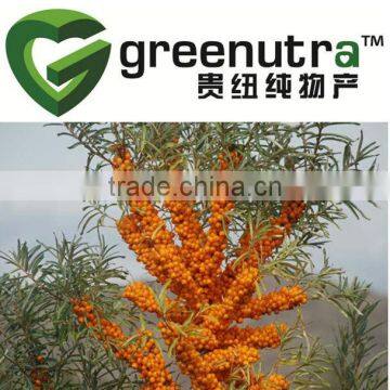 Hippophae Rhamnoides Extract