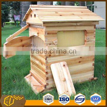 2016 New design honey self flowing wood bee hive with 7 pieces frames