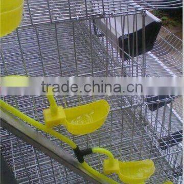 hot sale laying cages for quails