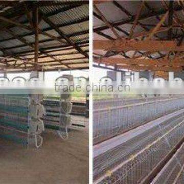 day old layer chicks broiler cage