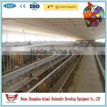 Design all kinds size layer chicken cages factory