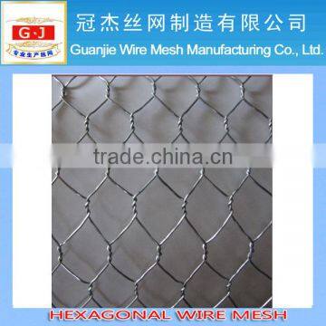 PVC Coated Hot Dipped Galvanized Hexagonal Wire Mesh (Factory & Exporter)