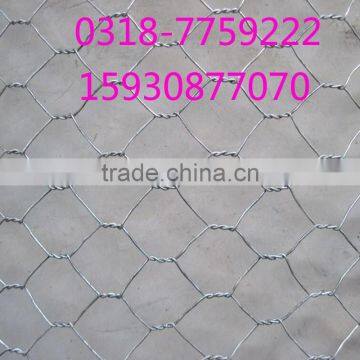 Anping factory galvanized chicken wire mesh poultry wire netting