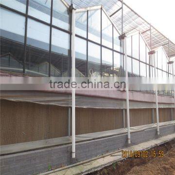 AL Frame PE Material Greenhouse Made in China photo-5