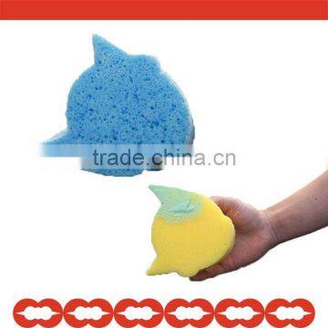 Car Cleaing Sponge