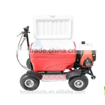 Hot Sale Gas Cooler Scooter for BBQ/43cc EPA Ice Chest Scooter (TKS-S43) photo-3