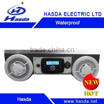 New Style waterproof 10 inch speaker for spa