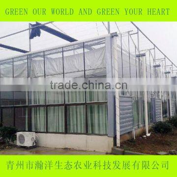 Multi Span Glass Greenhouse for Agriculture Planting photo-2