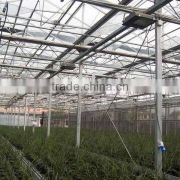 Galvanized Steel pipe for Green house