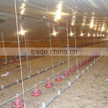 BT Factory Chicken Farming for Broiler Chicken photo-3