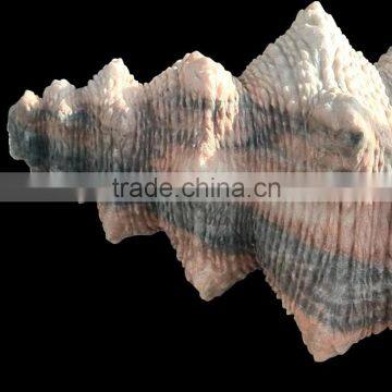Large Marble Trumpet Shell, Garden Sea Shell Sculpture photo-3