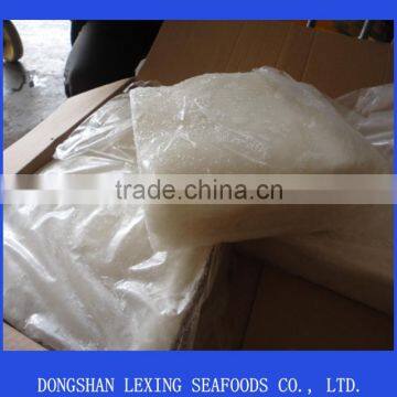 frozen giant squid fillet