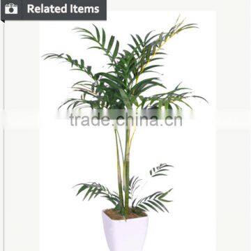 Indoor Home Decorative Artificial Bonsai Tree for Sale and for Hotel and House Landscape photo-3