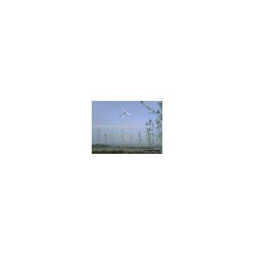 Wind Turbine 600W