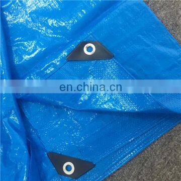 Poly tarp light duty