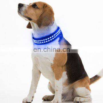New Pet Supplies Node USB Charging LED Light Dog Collar for Small and Big Dogs photo-5