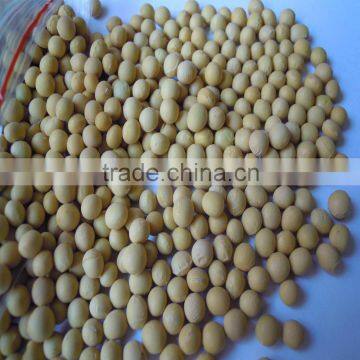 Organic soybean
