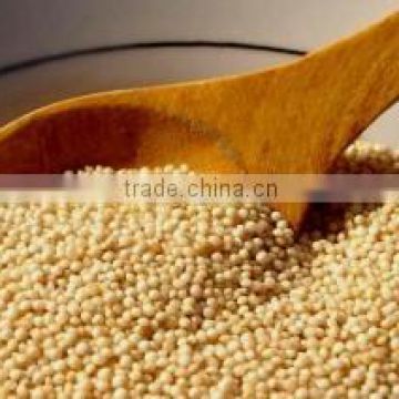 First Quality Amaranth seeds Exporters