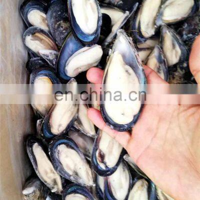 Frozen Mussel Half Shell Mussel Meat
