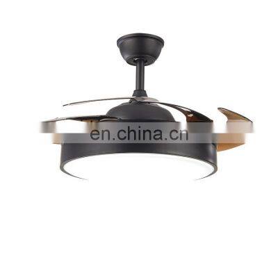 Ceiling fan with led light 42 inch can play music variable light spot factory direct simple modern ceiling fan light LED